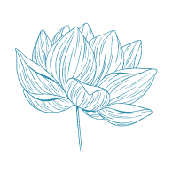 Flor 02