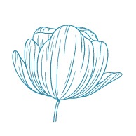 Flor 03