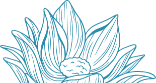 Flor secc 02